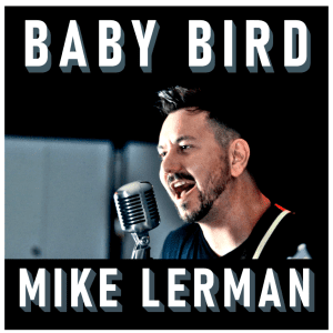 Baby bird album cover